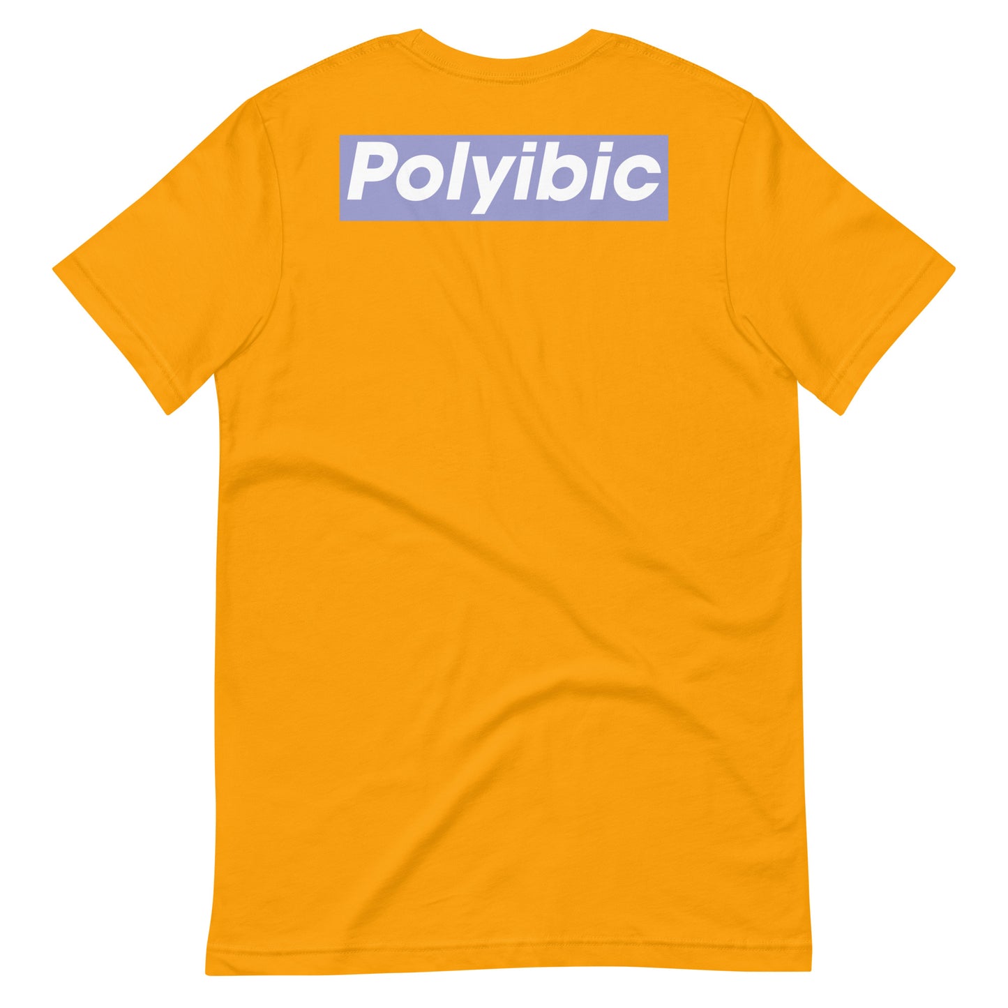 Polyibic Melanin vs Diabetes Unisex t-shirt