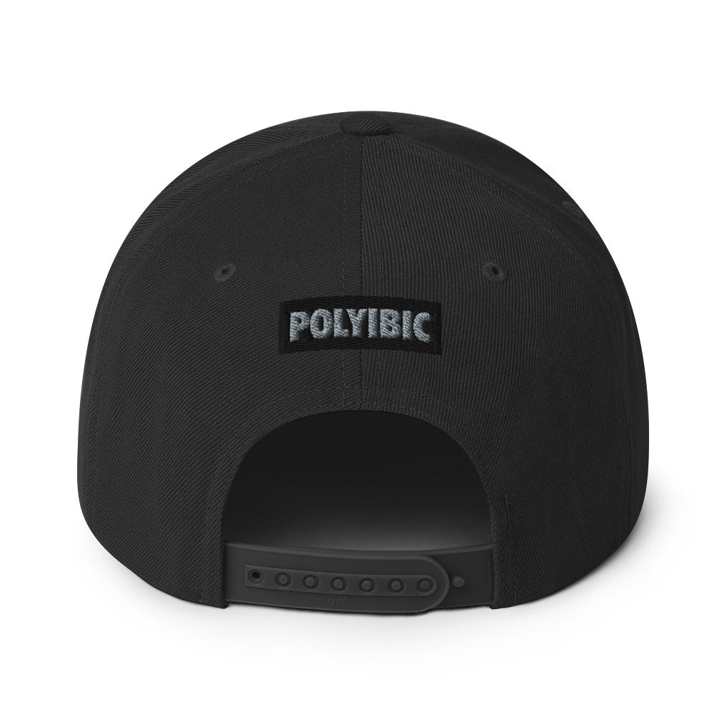 Polyibic Melanin vs Diabetes Snapback Hat