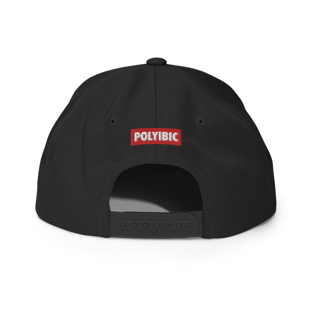 Polyibic Melanin vs Diabetes Snapback Hat