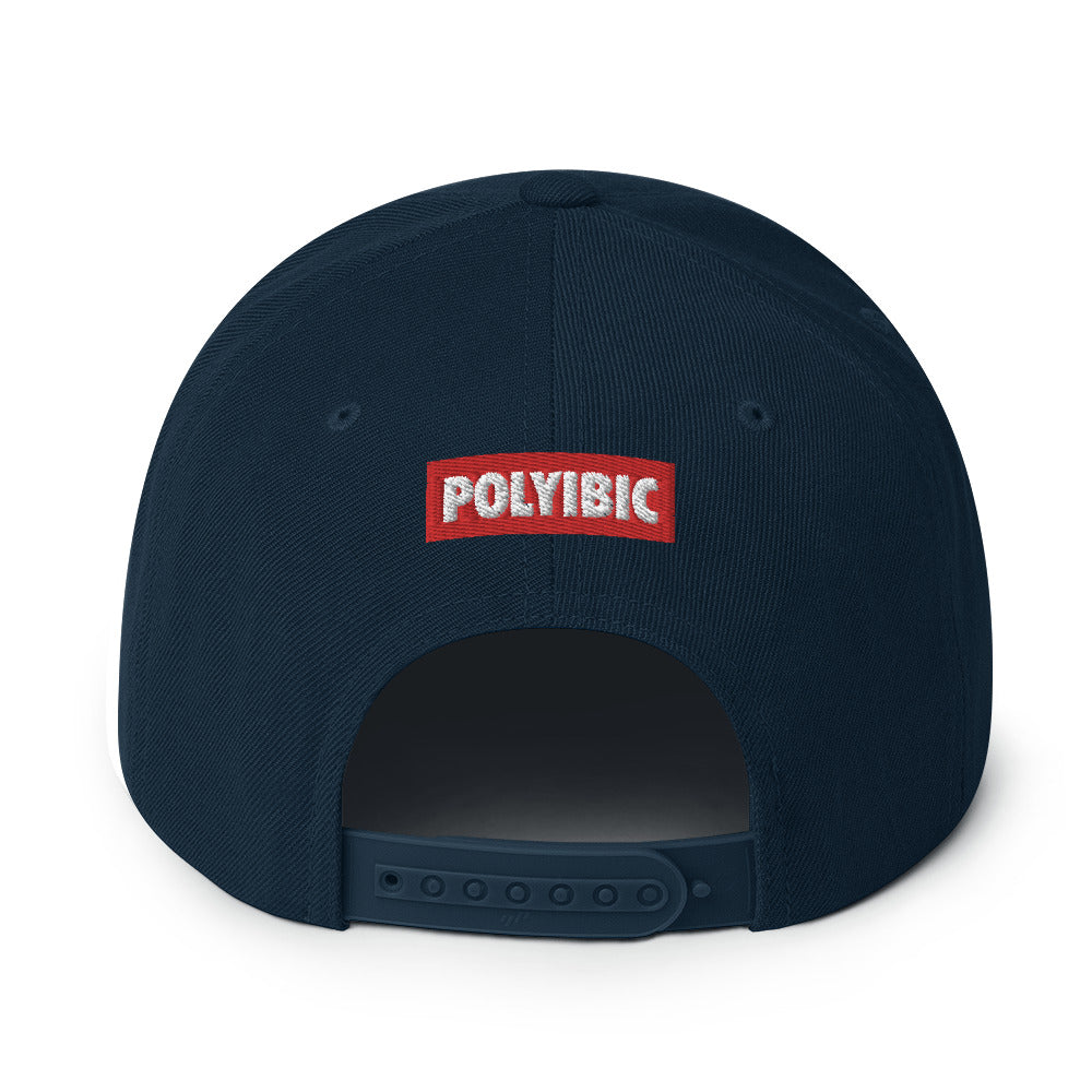 Poyibic Melanin vs Diabetes Snapback Hat