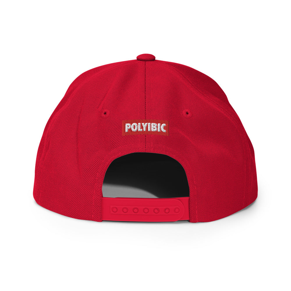 Polyibic Melanin vs Diabetes Snapback Hat