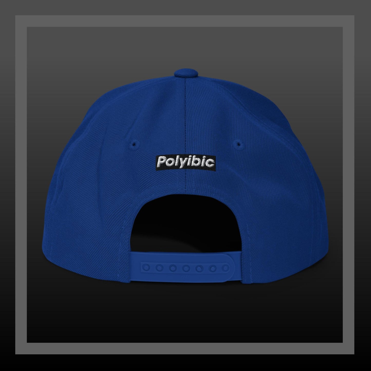 Polyibic Melanin vs Diabetes  / Defund Diabetes Snapback Hat