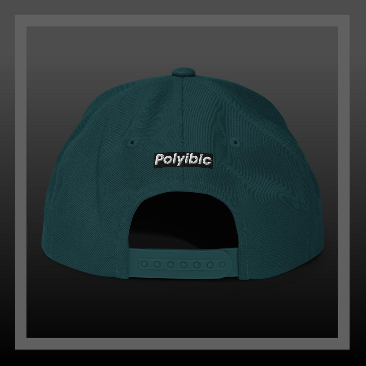 Polyibic Melanin vs Diabetes  / Defund Diabetes Snapback Hat