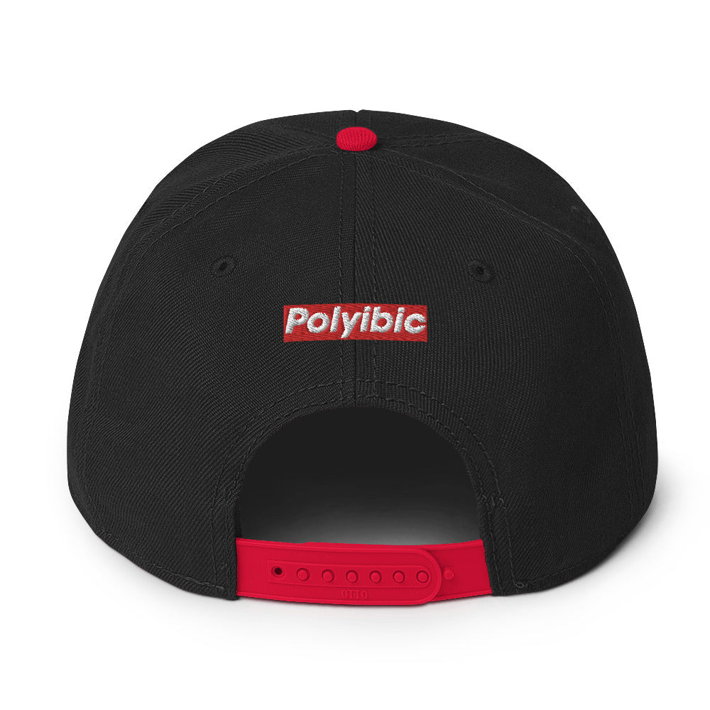 Polyibic Defund Diabetes Snapback Hat