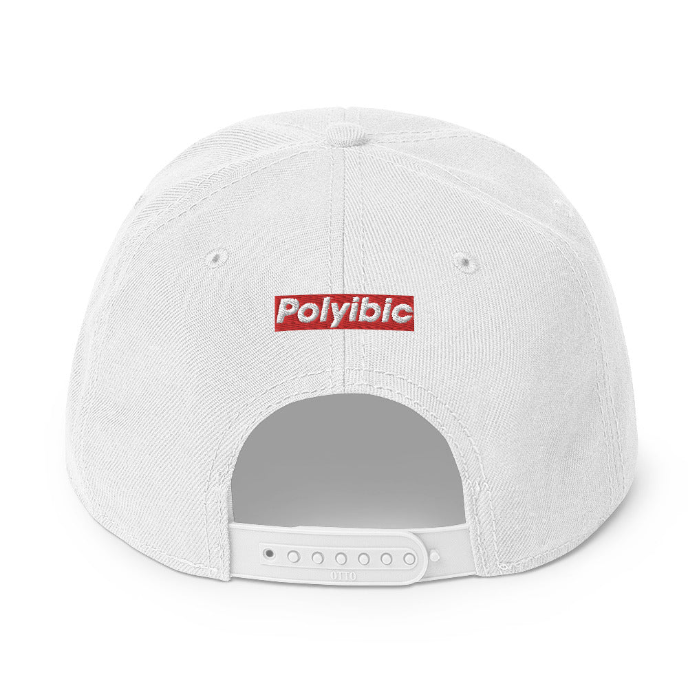 Polyibic Defund Diabetes Snapback Hat