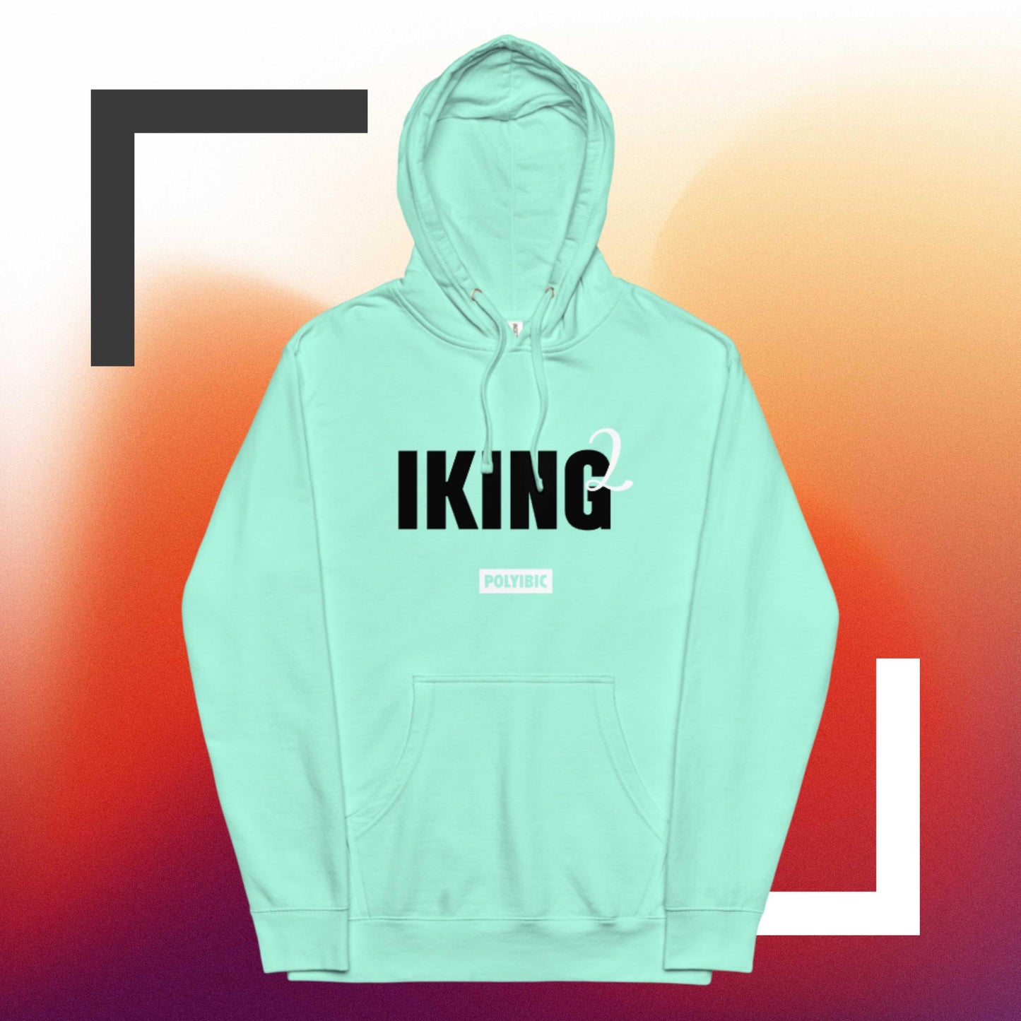 Polyibic IKING2  midweight hoodie