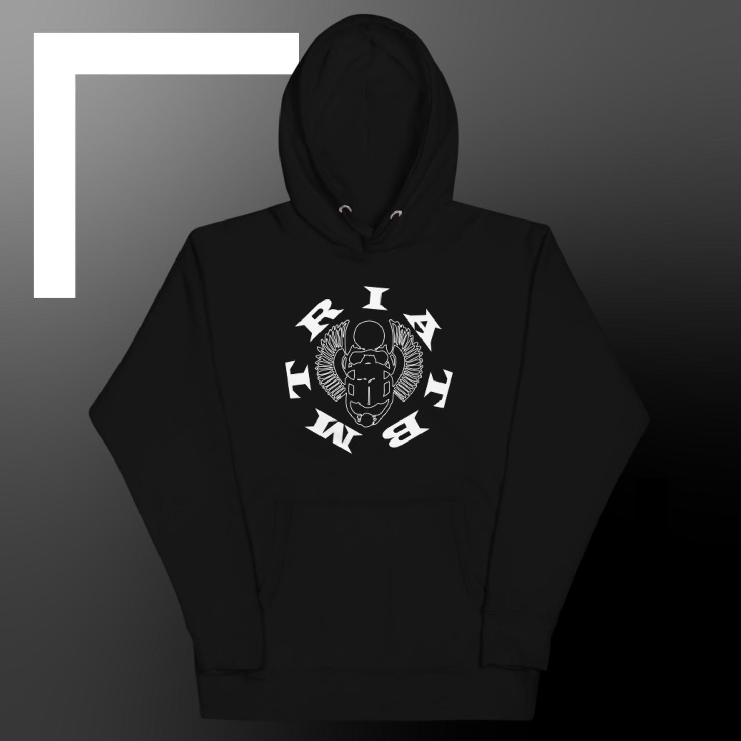 POLYIBIC IATBMTR Hoodie