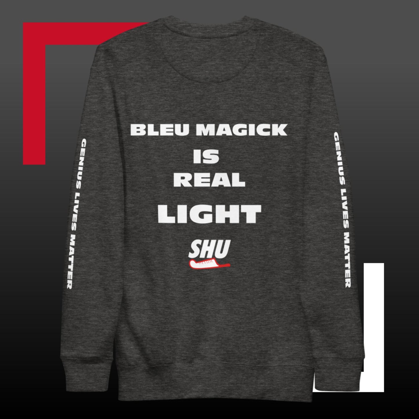 SHU "F" THE CHECK  Premium Sweatshirt