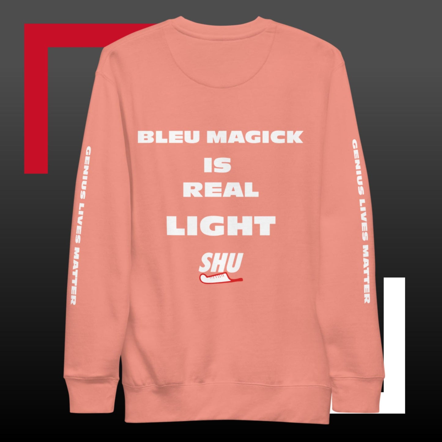 SHU "F" THE CHECK  Premium Sweatshirt