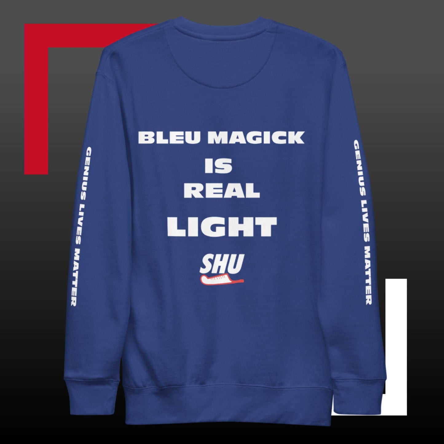 SHU "F" THE CHECK  Premium Sweatshirt