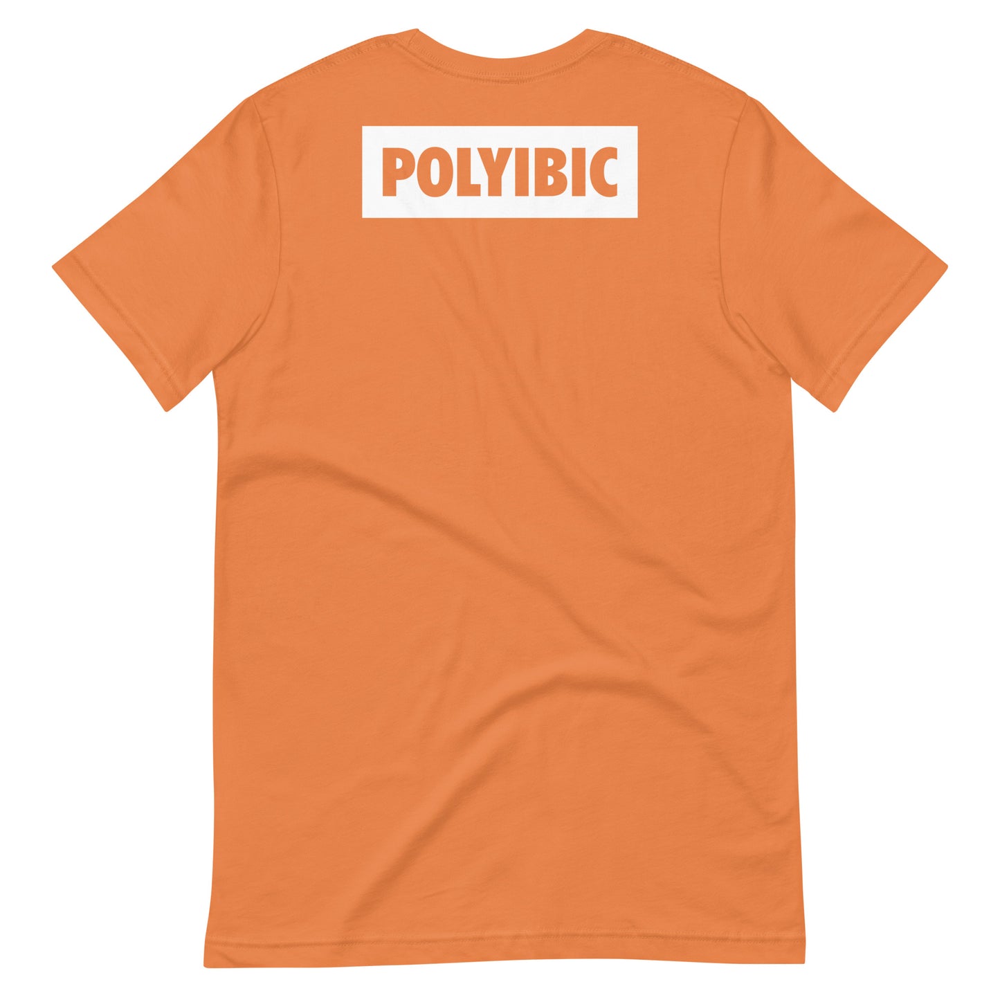 Polyibic Logo  t-shirt